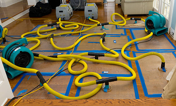 Professional Flood Damage Restoration technician working in Speedwell, TN
